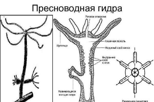 Официальный сайт kraken ссылки зеркала