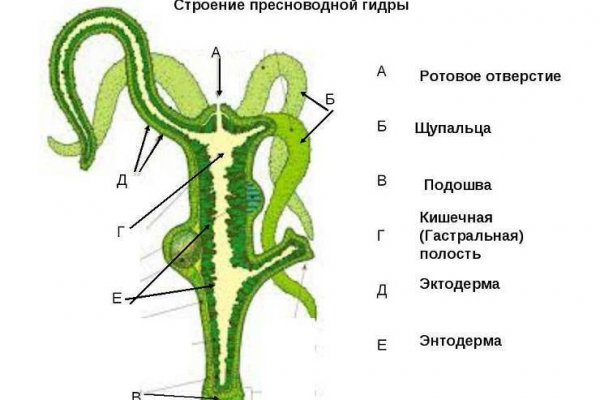 Кракен 15 ссылка