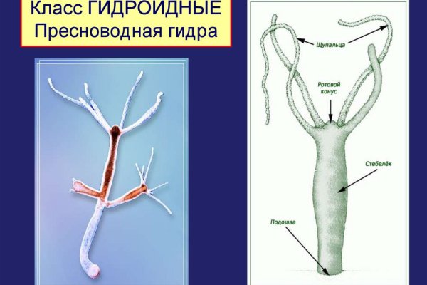 Ссылка на кракен даркнет